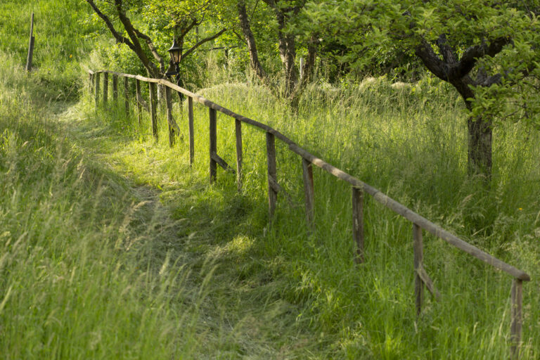 Wege gehen im Garten der Stille